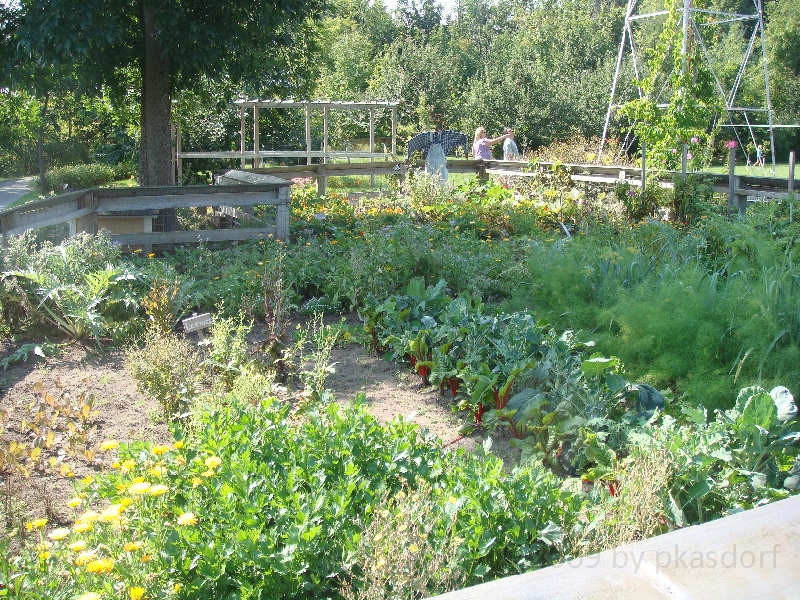 Western Michigan [2009] 354.JPG - Scenes from Frederik Meijer Gardens & Sculpture Park.